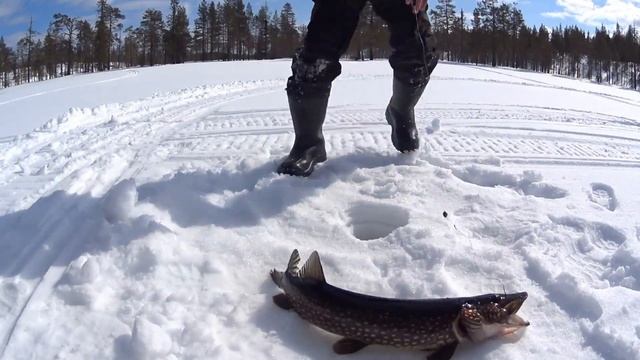 СЕВЕРНАЯ КАРЕЛИЯ!День второй. смотреть онлайн