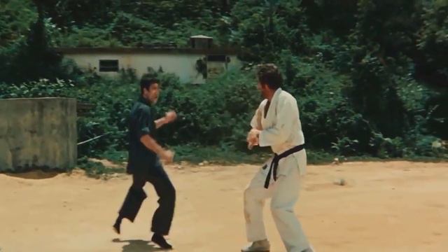 The Immortals   Mortal Kombat   Bruce Lee720P HD