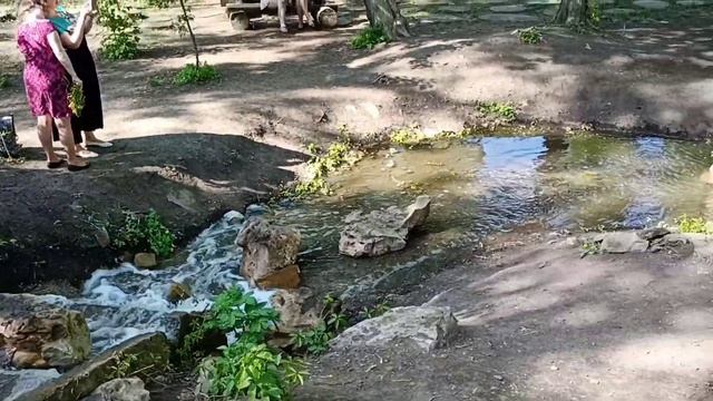 #ЛУГАНСК - ПАРК им.ГОРЬКОГО 15.05.2021 | ДОНБАСС - РОДИНА | ПРОГУЛКА ПО САМОМУ КРАСИВОМУ ПАРКУ смотреть онлайн