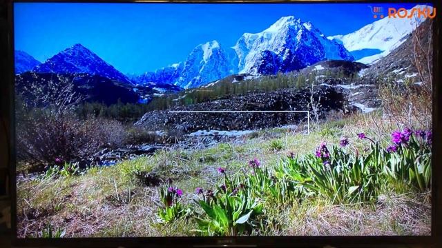 Full HD телек года? ? Обзор ТВ Sony серии WF805 на примере 49WF805 / wf804 43wf805 43wf804 49wf804 смотреть онлайн