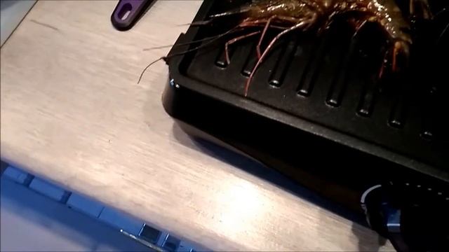 Как быстро и вкусно приготовить креветки дома. рецепт от Ирины Сеньковской||гриль Kitfort КТ-1631 смотреть онлайн