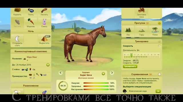 Лоwади | Как я качаю лошадь? | Растим чемпиона смотреть онлайн