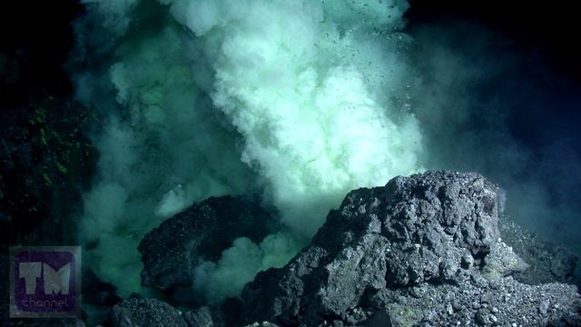 Анимационные Сериалы