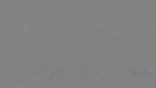 ОКЛЕНД - МАТАВЕРИ! КРУГОСВЕТКА 43. MSFS 2020! A320 NEO! смотреть онлайн