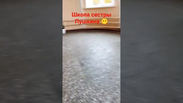 тут давно училась сестра ПУШКИНА!!.. смотреть онлайн