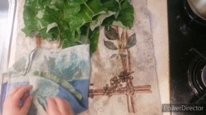 Сок лопуха - польза и вред. Как принимать, как приготовить и как хранить. Майский женьшень.