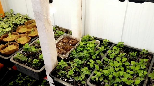 ПРИГЛАШАЮ ПРОВЕСТИ ЭТОТ ДЕНЬ ВМЕСТЕ. МОЙ ВЫХОДНОЙ. ОТЧЁТ ЗА НЕДЕЛЮ. смотреть онлайн