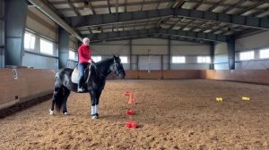 КАК СДЕЛАТЬ ВОЛЬТ 10 м НА ЛОШАДИ