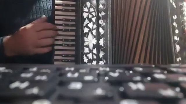 Соло на гармони. смотреть онлайн