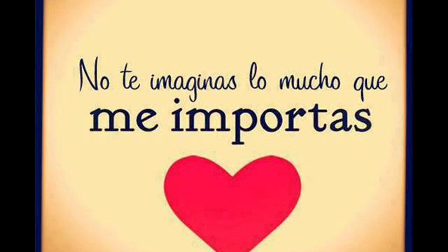 tu eres mi unico amor te amo thonii смотреть онлайн