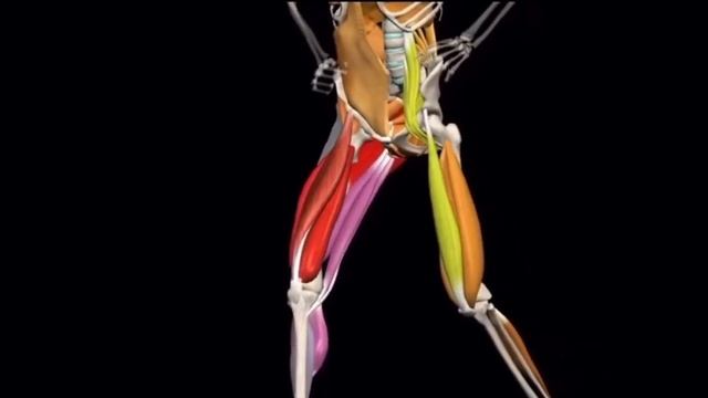 Сплит прыжок (обучение 3) смотреть онлайн