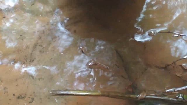 Промываем золото сковородой смотреть онлайн