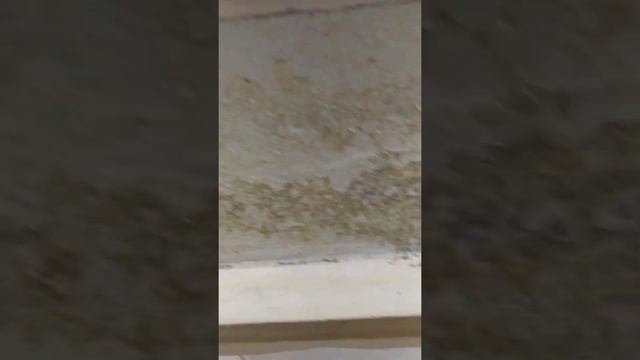 обнаружил зону подачи растворов для травли рэкетом