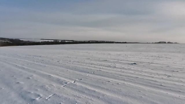 Охота на зайца в декабре! Тест антенны Соболь 3 , Bark X3 220. (Результат порадовал). смотреть онлайн