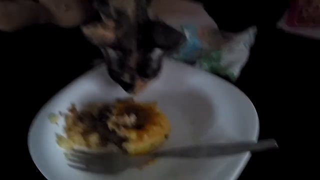Кошка сфинкс Медея кушает картофельный пирожок с капустой смотреть онлайн