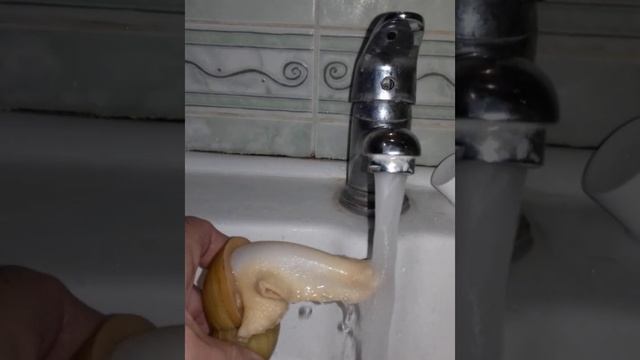 Приятно познакомиться, я улитка Зюзя. Nice to meet you, I'm snail Zyuzya смотреть онлайн