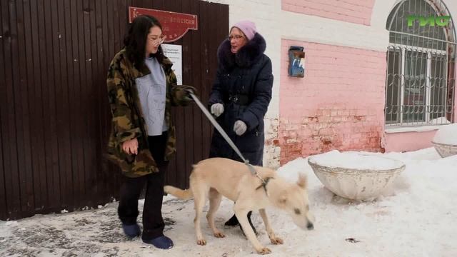 "Шанс на жизнь" / "Зоопатруль" от 30.01.2024