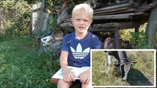 Страна читающая — Илья Фаддеев читает произведение «Цветное молоко» (Орлов Владимир) смотреть онлайн