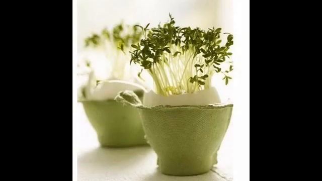 Советы бывалых для дачи.Взять на заметку. смотреть онлайн