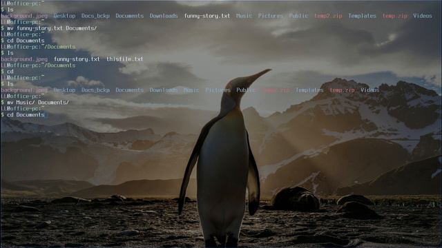 How Do You Move Files & Directories with Linux Command Line? смотреть онлайн