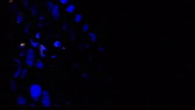 lights on my bearcat Z1 смотреть онлайн