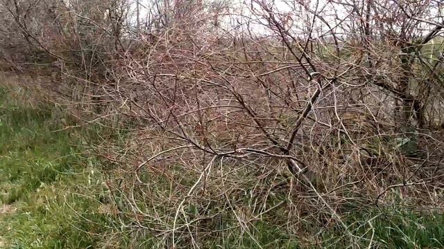 Праздник Пасха село Горностаевка Новотроицкий район!!!!!!!!! смотреть онлайн