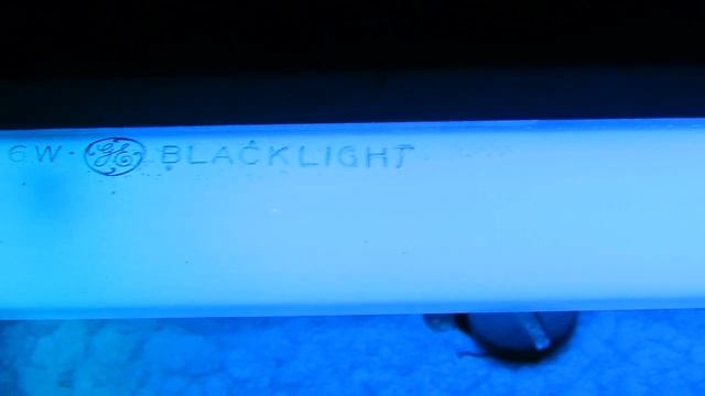 Vintage GE F6T5/BL Blacklight Fluorescent Lamp смотреть онлайн