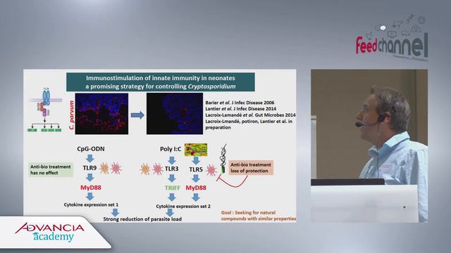 Fabrice LAURENT - Advancia Dubrovnik 2018 смотреть онлайн