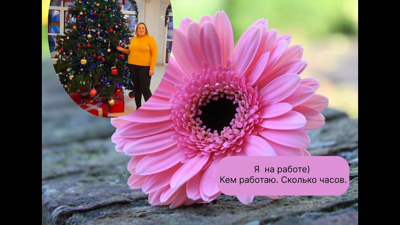 Кем я работаю? Сколько часов? смотреть онлайн