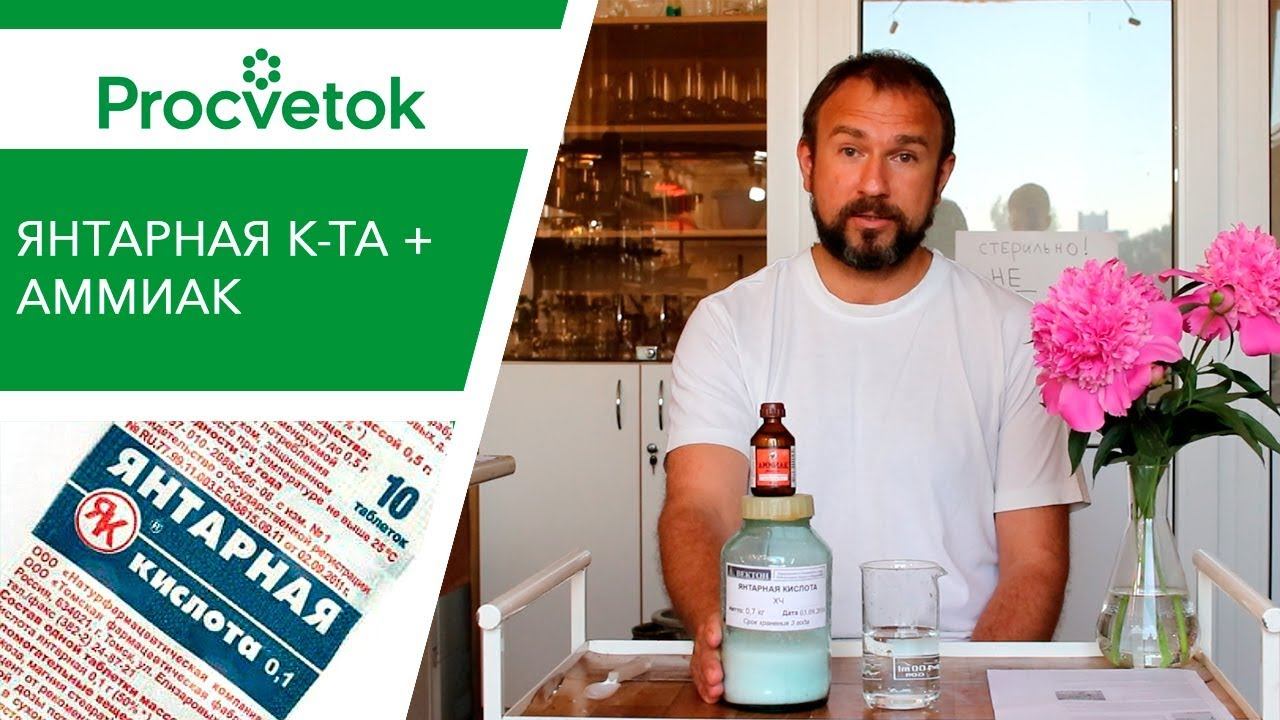 Янтарная кислота для подкормки растений. Готовим усиленный раствор! смотреть онлайн