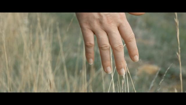 Panasonic GH5 w/Lumix 12-60 HANDHELD Test - Film Look 4k смотреть онлайн