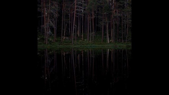Буревестник (Песня) смотреть онлайн