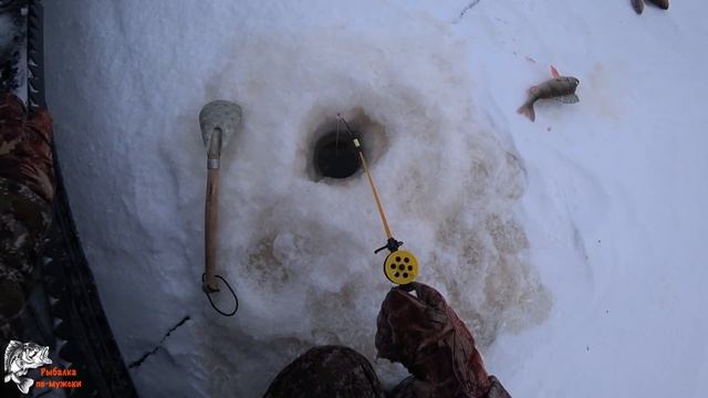 20 мин ОТЛИЧНОГО КЛЁВА/ОКУНЬ/ЩУКА/РЫБАЛКА В ГЛУХОЗИМЬЕ/Fishing for men смотреть онлайн