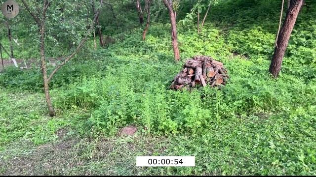 Аккумуляторный Триммер Handtek ETH 21-2Li/4A PRO смотреть онлайн