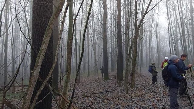 Поход с туристической группой, ну и куда же без грибов. смотреть онлайн