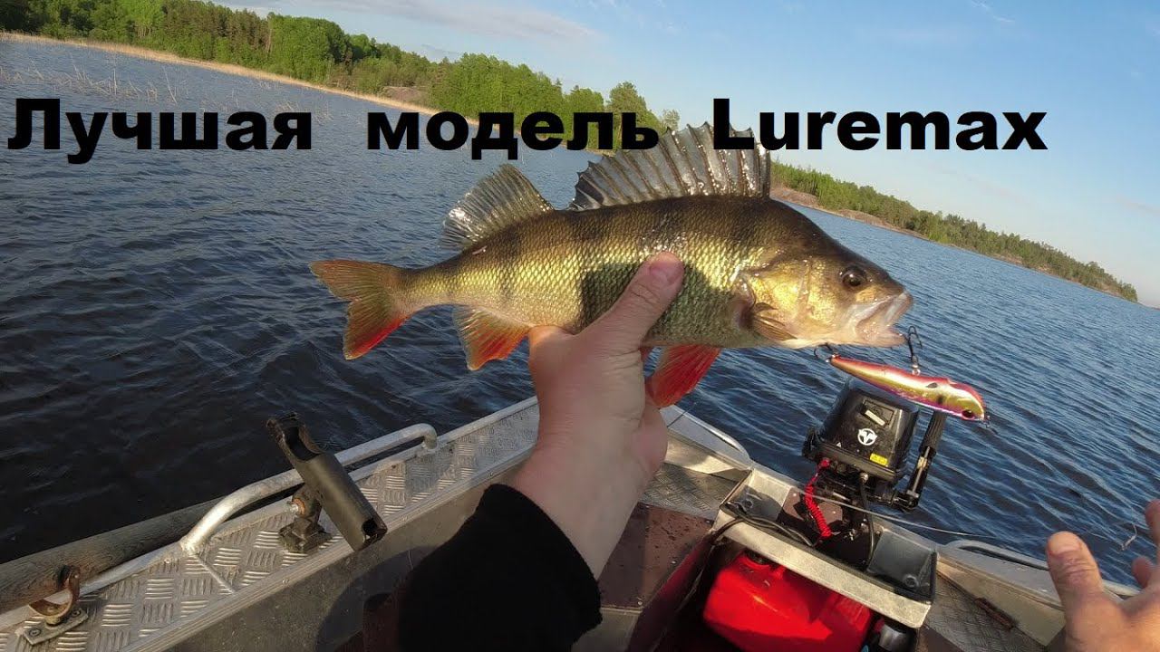 Лучшая модель Luremax смотреть онлайн