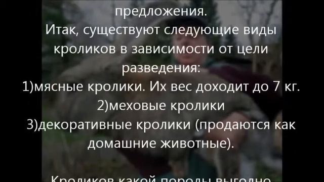 Разведение кроликов в домашних условиях как бизнес смотреть онлайн