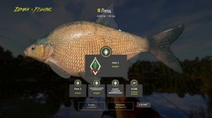 Русская рыбалка 4.? ЛЕЩ...? ГДЕ ЛОВИТЬ и на ЧТО ?