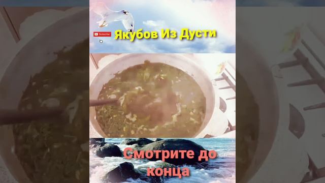 🇹🇯🇹🇯🇹🇯Кишлокаки ман буй Чапоти дорад 🇹🇯🇹🇯🇹🇯 смотреть онлайн