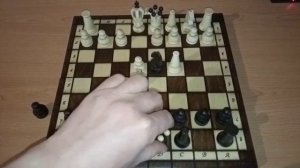 Шахматы.Быстрый мат.