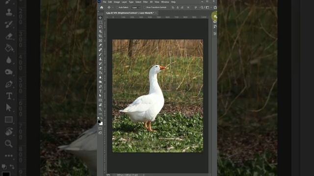Как спасти засвеченное фото в Фотошопе смотреть онлайн