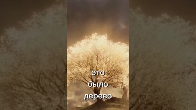 Дерево Жизни и дерево познания, какое вырежешь ТЫ? смотреть онлайн