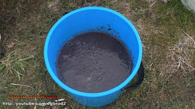 Кокосовый субстрат - будьте осторожны! смотреть онлайн