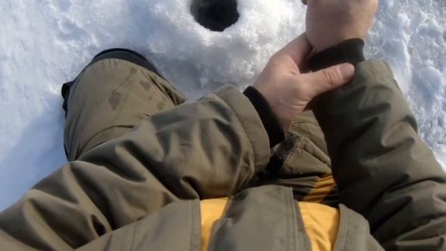 ЛОВЛЯ ОКУНЯ ЗИМОЙ НА БЕЗМОТЫЛКУ. РЕКА СОСНА. #рыбалка смотреть онлайн