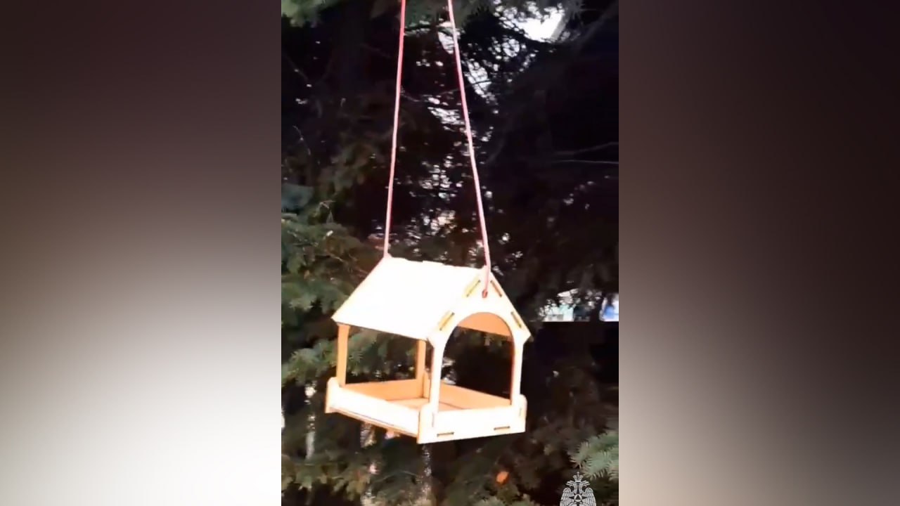 В Челябинской области сотрудники МЧС обновили кормушки для птиц смотреть онлайн