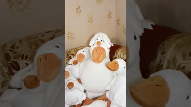 Гусь обнимусь смотреть онлайн