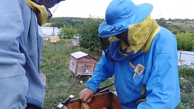 КАЧЕСТВЕННЫЙ МЁД СО СВОЕЙ ПАСЕКИ. ПРОДАМ смотреть онлайн