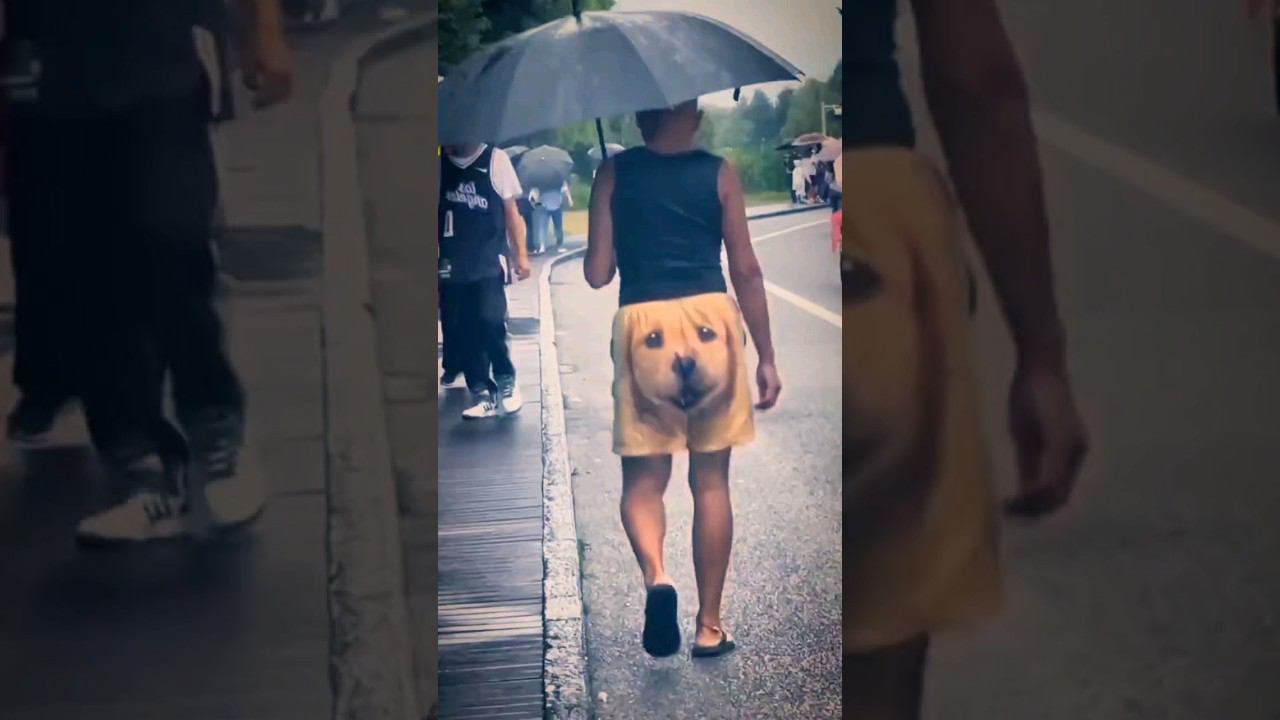 #китай смотреть онлайн