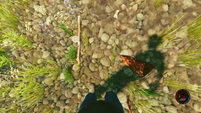 ! Мега баг в игре the forest ! БАГ :бесконечные палки смотреть онлайн