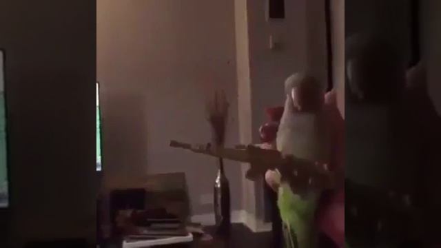 Это видео сделало мой день) смотреть онлайн